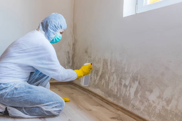 Mold Remediation specialist working in Ashland